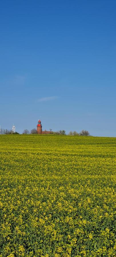 Ferienwohnung Im Leuchtturmort Bastorf Bagian luar foto